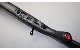 Ruger ~ American ~ .22 Long Rifle - 7 of 10
