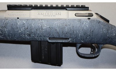 Ruger ~ American ~ .350 Legend - Image 8 of 10