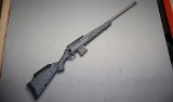 Ruger ~ American ~ .350 Legen - Image 1 of 10