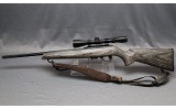 Remington Arms Company ~ 597 Magnum ~ .17 HMR - 6 of 10