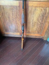 Preowned Caesar Guerini Summit Limited Case Color 12 Gauge - 7 of 15