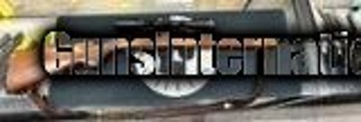 Winchester Model 100 – .308 Win – Classic Semi-Auto – Serial #123454