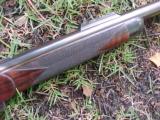 WESTLEY RICHARDS D&E MDL 1873 EXPRESS RIFLE, 500/450 #2 MUSKET - 6 of 12