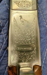 Winchester Model 23 Pigeon Grade 12GA - A First-Year Collector's Prize - 5 of 15