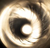 W. W. Greener --- Toplever, Hammer, Sidelock Double Rifle --- 8-Bore - 10 of 11