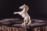 Exquisite Hand Carved Ivory Rampant Colt Horse - 5 of 7
