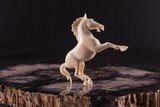 Exquisite Hand Carved Ivory Rampant Colt Horse - 3 of 7