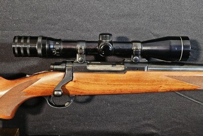 Ruger M77 .243 Rifle - Image 12 of 17
