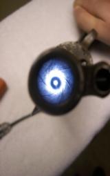 Colt SAA Blue 4-3/4, 45 LC, Shipped to Denver,CO in 1899 - 11 of 12