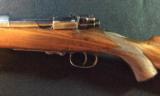 WESTLEY RICHARDS 318 ACCELERATED EXPRESS RIFLE - SHIPPED TO NEWTONS LTD IN NAIROBI AFRICA - 6 of 14