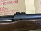 New In Box - Winchester Pre-64 Model 70 243 Varminter w/ Hang Tag - 5 of 7
