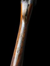 BEAUTIFUL--ALEX HENRYEDINBURGH--2