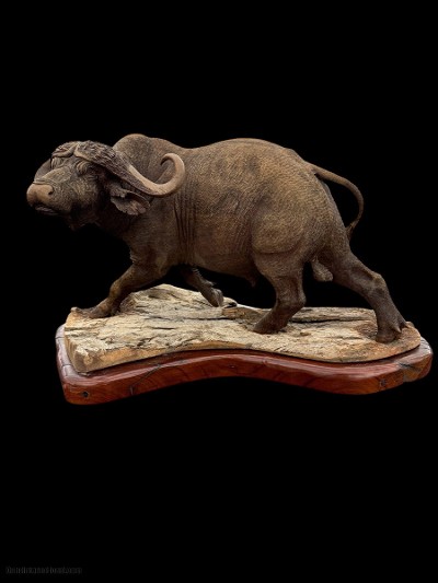BEAUTIFUL - MOPHO GONDE - CAPE BUFFALO - LEADWOOD CARVED SCULPTURE