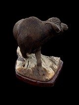BEAUTIFUL - MOPHO GONDE - CAPE BUFFALO - LEADWOOD CARVED SCULPTURE - 4 of 9