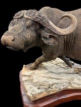 BEAUTIFUL - MOPHO GONDE - CAPE BUFFALO - LEADWOOD CARVED SCULPTURE - 3 of 9