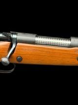 WINCHESTER - MODEL 70 SUPERGRADE - 458 WIN MAG - AFRICA READY! - 8 of 12
