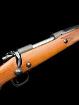 WINCHESTER - MODEL 70 SUPERGRADE - 458 WIN MAG - AFRICA READY! - 12 of 12