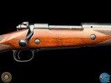 WINCHESTER - MODEL 70 SAFARI EXPRESS 458 WIN MAG - AFRICA READY - 6 of 20