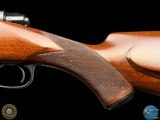 WINCHESTER - MODEL 70 SAFARI EXPRESS 458 WIN MAG - AFRICA READY - 19 of 20
