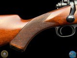 WINCHESTER - MODEL 70 SAFARI EXPRESS 458 WIN MAG - AFRICA READY - 20 of 20