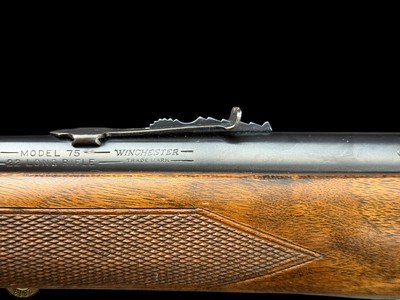 WINCHESTER MODEL 75 SPORTING - 22 LR - 1950 - Image 16 of 20