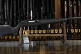 Savage A22 Magnum Pro Varmint 22