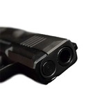 Pre-Owned - Sig Sauer P365 Semi-Auto 9mm 3" Handgun - 8 of 9