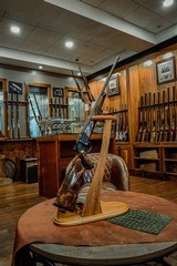 Blaser USA R8 Success Wood Bolt .308 Winchester 23