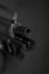 Pre-Owned - Sig Sauer P365X 9mm 3.1