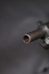 Springfield 1911-A1 TRP 10mm 5