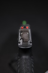 Pre-Owned - Sig Sauer P365 9mm 3.1