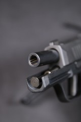 Pre-Owned - Sig Sauer P365 9mm 3.1