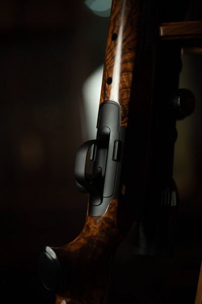 Blaser R8 223 Remington 22.5