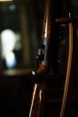 Blaser R8 223 Remington 22.5