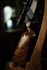Blaser R8 223 Remington 22.5