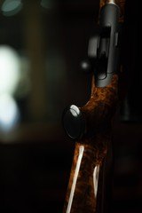 Blaser R8 223 Remington 22.5