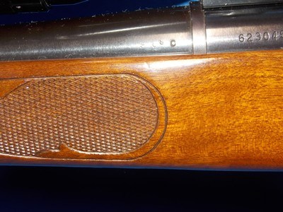 GORGEOUS REMINGTON 700 - Image 7 of 19