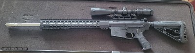 AR-10 in 6.5 Creedmore: PALMETTO STATE ARMORY PA-65 with Vortex Scope
