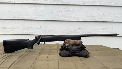 Steyr SSG 69 P II .22-250