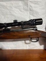 Winchester model 70 .243 Win. - 8 of 15