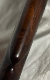 Winchester Model 12 16 gauge pump action shotgun - 15 of 15