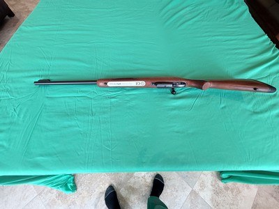 Cz 527 carbine
