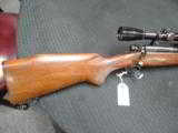 Winchester Model 70 Pre 64 Varminter in 243 Winchester - 6 of 7