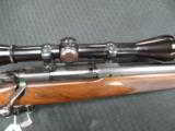 Winchester Model 70 Pre 64 Varminter in 243 Winchester - 7 of 7