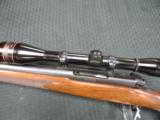 Winchester Model 70 Pre 64 Varminter in 243 Winchester - 3 of 7