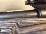 CZ 457 .22LR Boyds stock Vortex Venom - 12 of 15