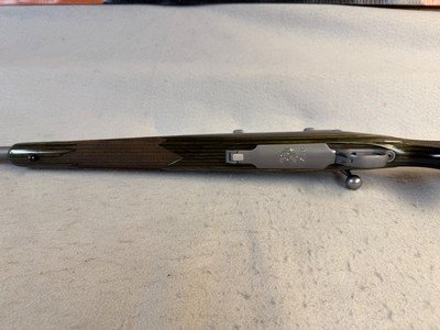 Ruger M77 Hawkeye Predator .204 Ruger - Image 12 of 13