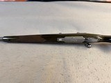 Ruger M77 Hawkeye Predator .204 Ruger - Image 12 of 13