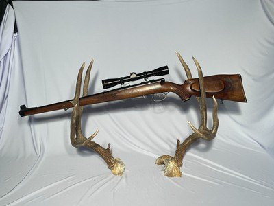 Anschutz model 1433 in .22 Hornet with a Leupold 8x gold ring