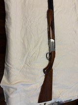 RUGER RED LABEL